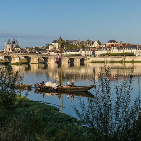 Le Wilson - Vue Imprenable Sur La Loire Et Le Chateau De Blois Dış mekan fotoğraf