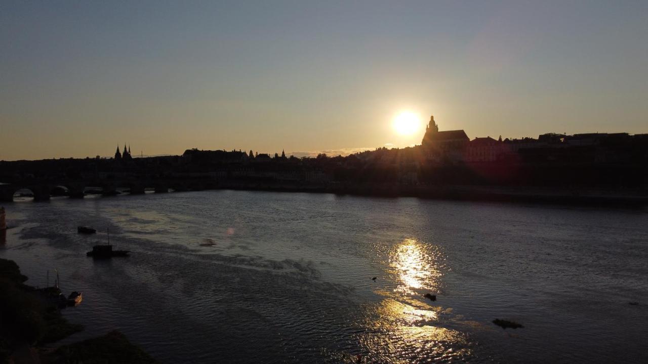 Le Wilson - Vue Imprenable Sur La Loire Et Le Chateau De Blois Dış mekan fotoğraf