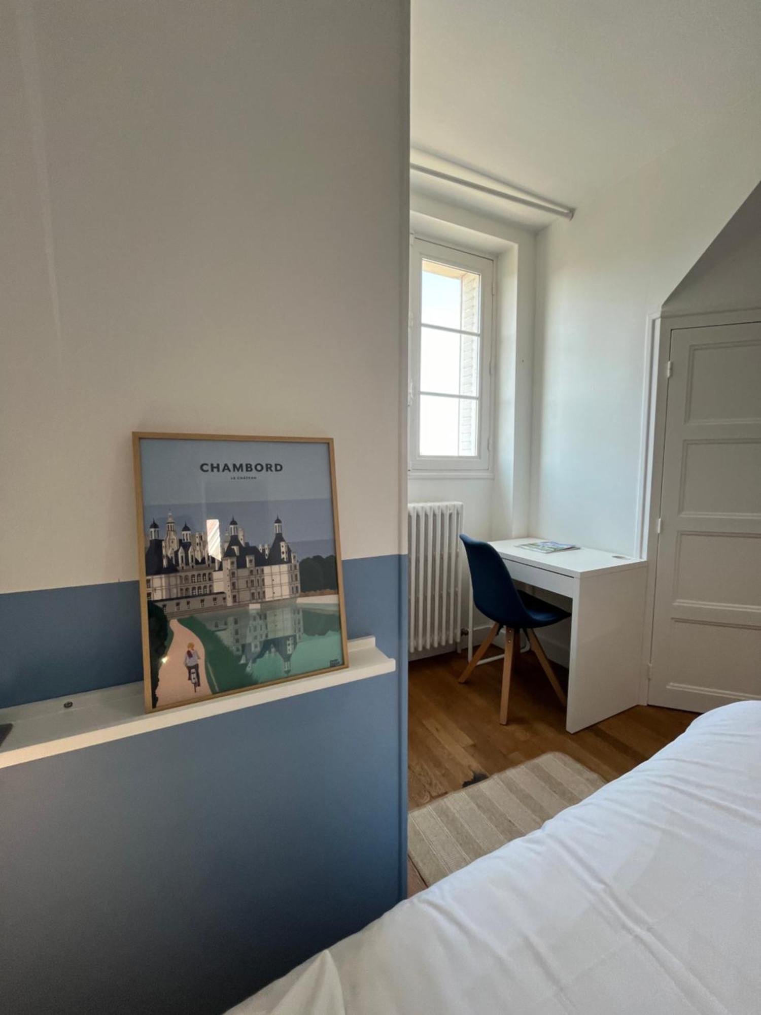 Le Wilson - Vue Imprenable Sur La Loire Et Le Chateau De Blois Dış mekan fotoğraf